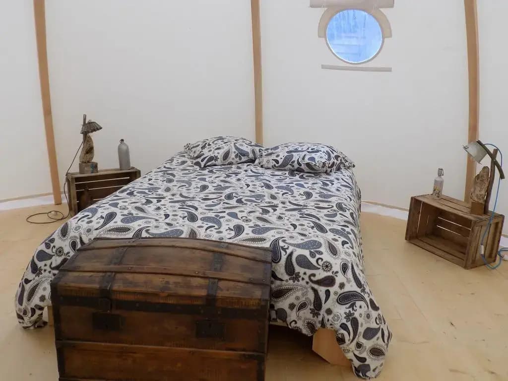 La chouette étoilée - Photo 3