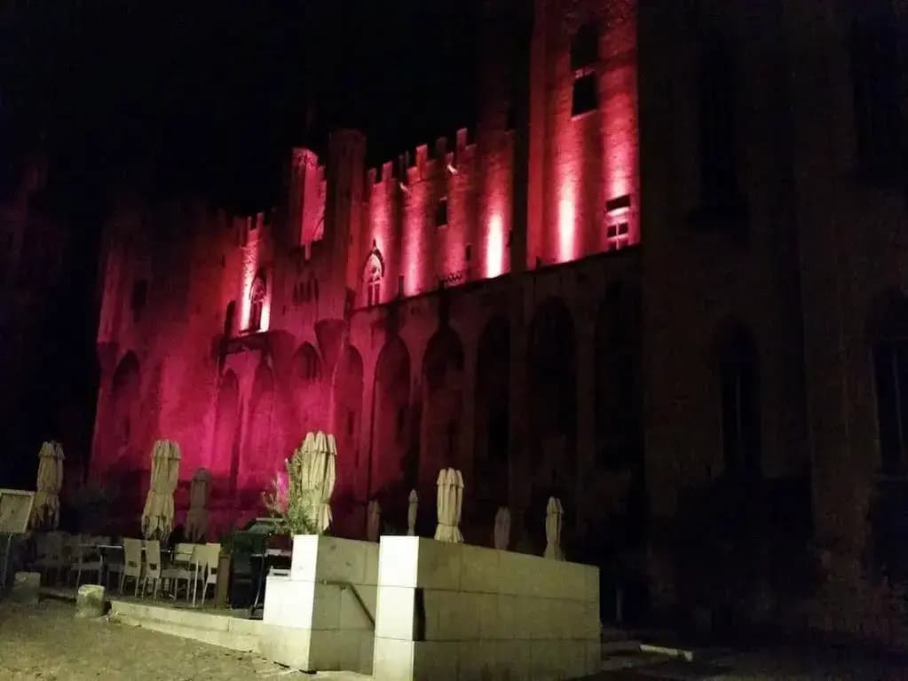 Hôtel du Palais des Papes - Photo 1