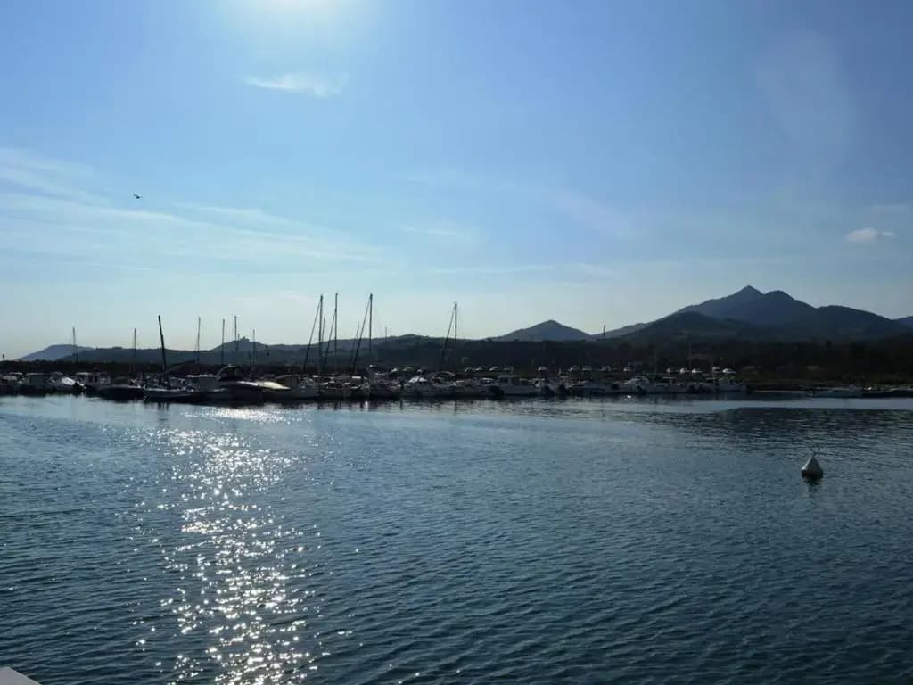 Appartement Argelès-sur-Mer, 2 pièces, 4 personnes - FR-1-225-303 - Photo 5