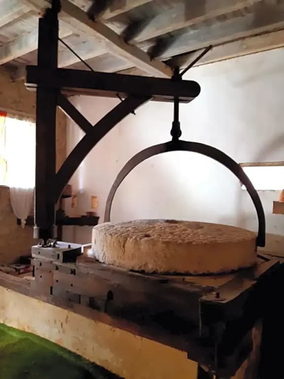 Le Moulin de Saubrigues - Photo 4