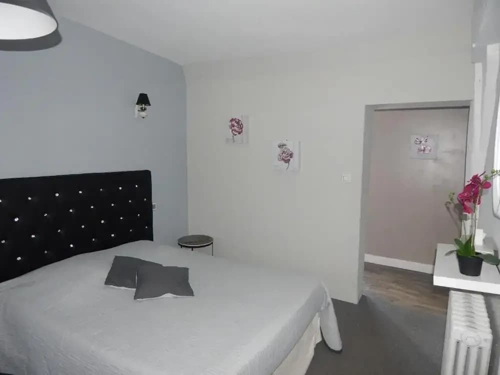 Hotel Restaurant Le Cygne - Photo 3