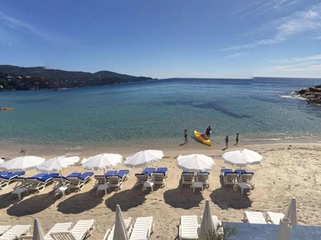 Appartement Le Lavandou, 3 pièces, 8 personnes - FR-1-251-81 - Miniature 8