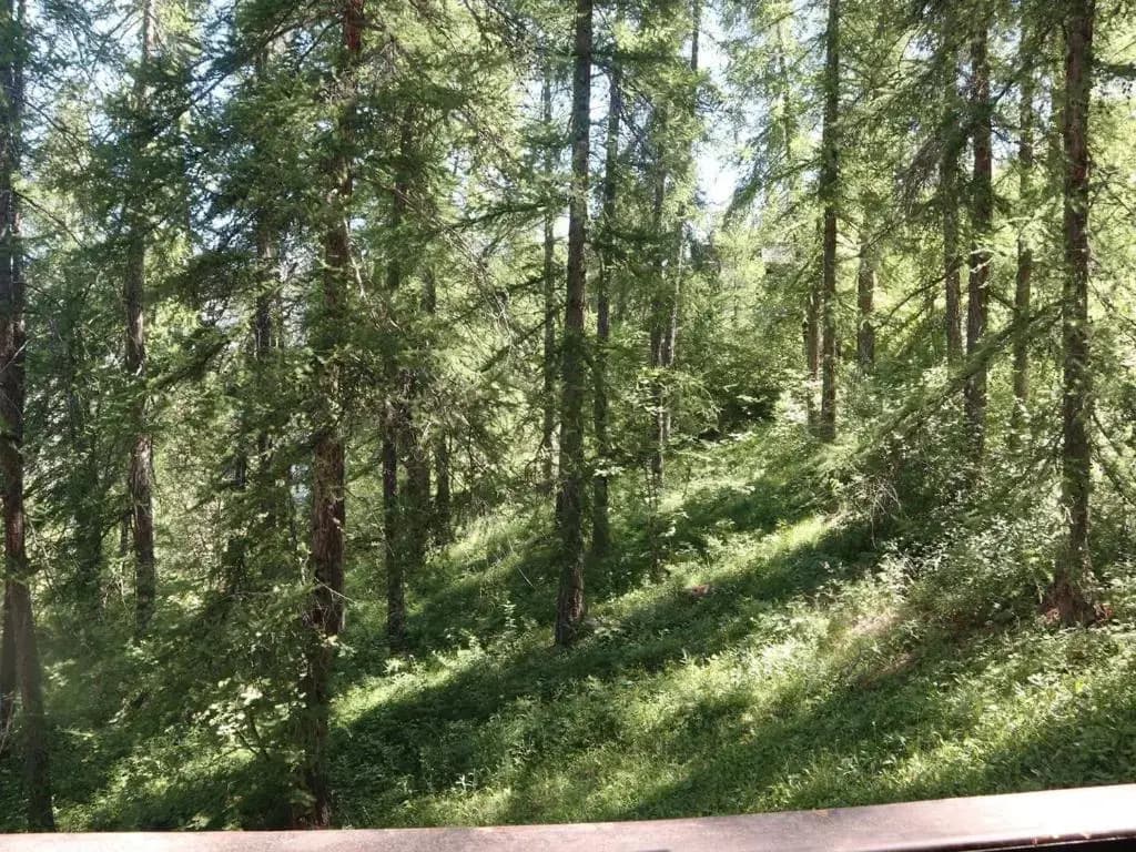 Appartement Les Orres, 1 pièce, 4 personnes - FR-1-322-289 - Photo 3