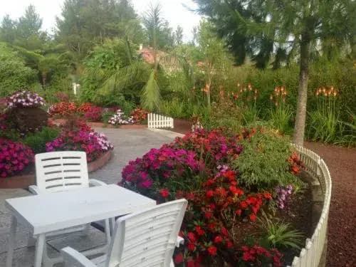 L'ECHELLE - Photo 4