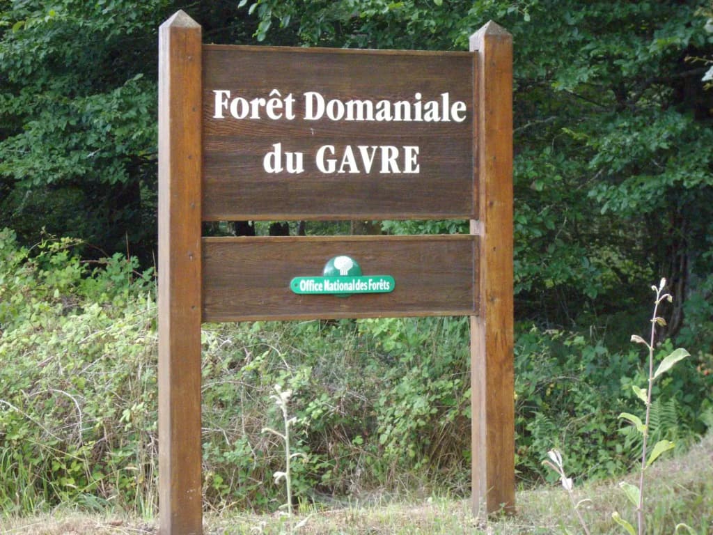 Le Nid d'Omer - Gite - Miniature 6