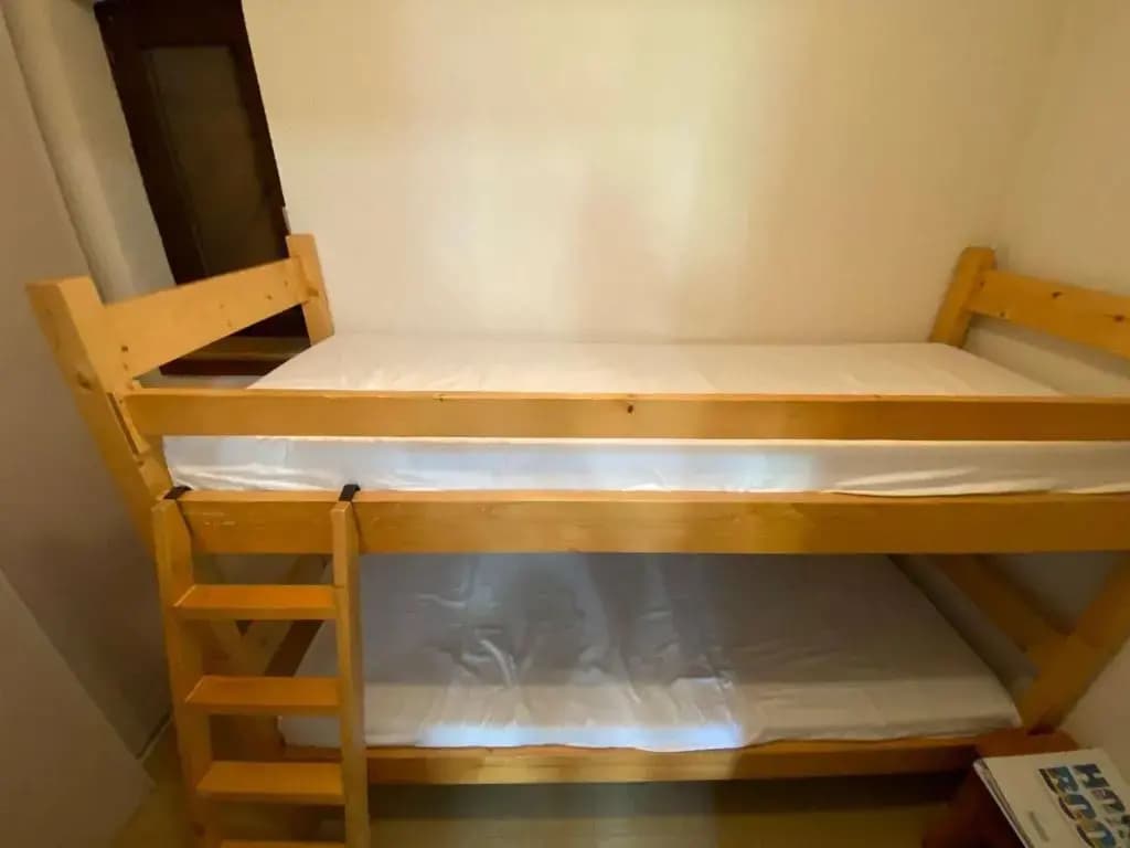 Appartement Le Grand-Bornand, 1 pièce, 4 personnes - FR-1-241-19 - Photo 3