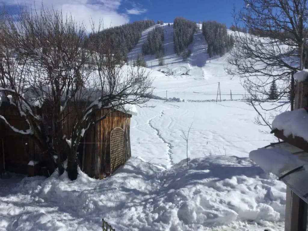 La Chaumière - Photo 2