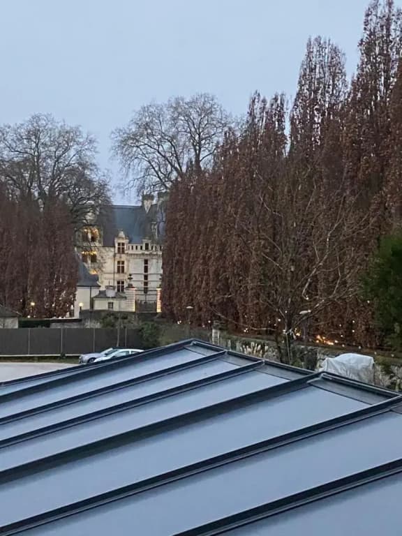 Recent T2 aux portes du Chateau d'Azay le Rideau - Miniature 8