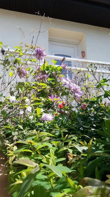 Chambre Avec Jardin Pierre Curie - Photo 5