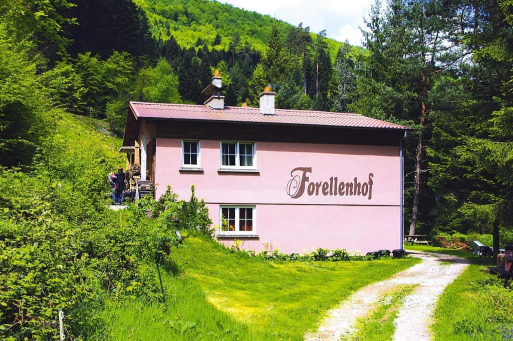 Apartment in Alsace With Nature Retreat - Photo 3