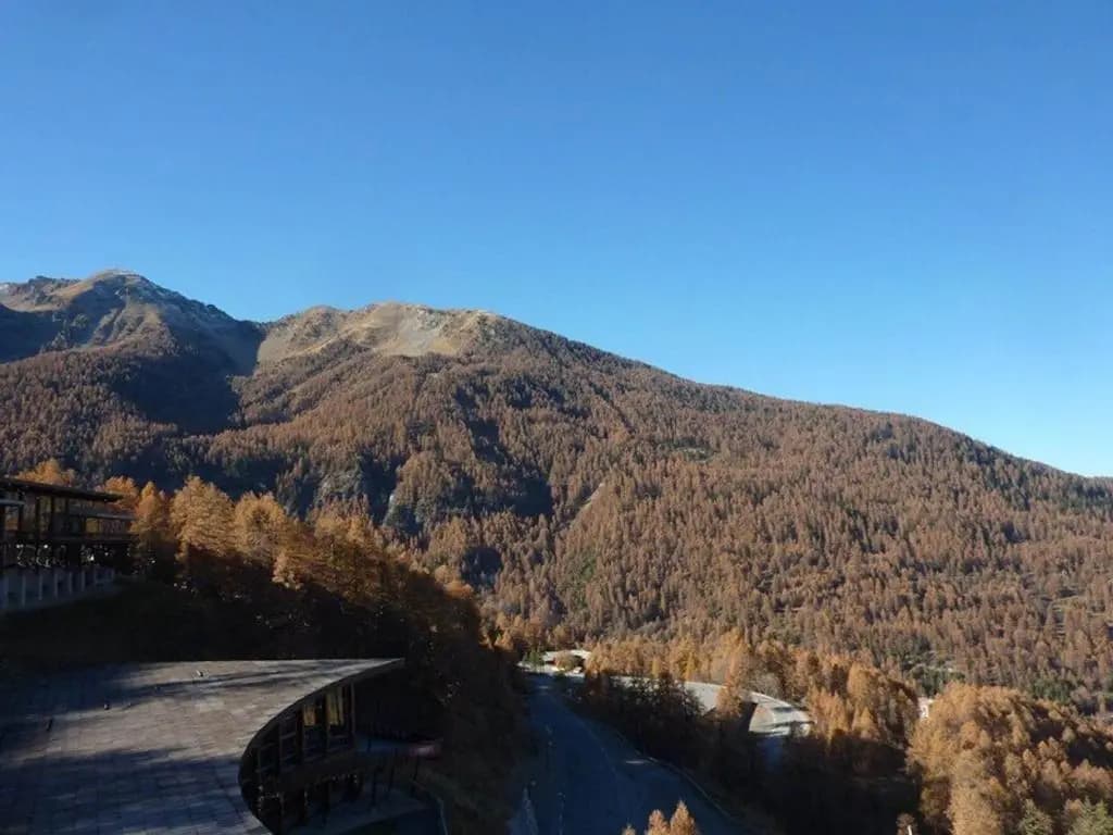 Appartement Les Orres, 1 pièce, 4 personnes - FR-1-322-177 - Photo 3