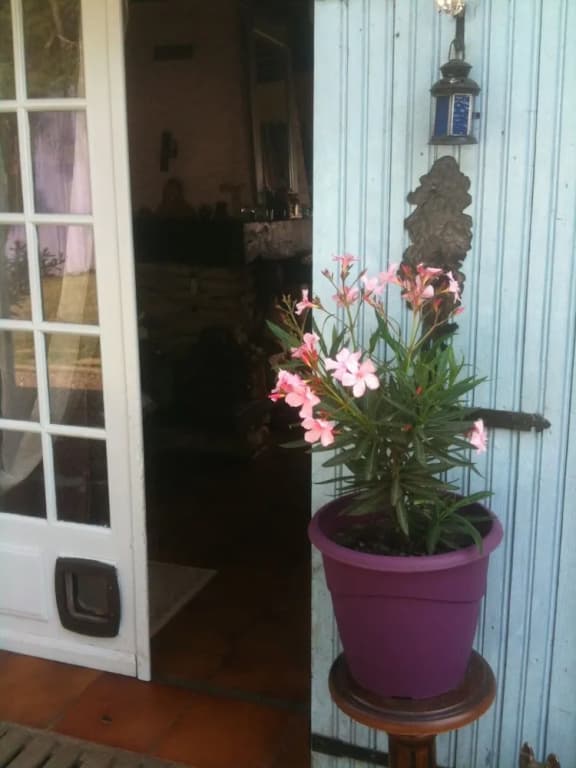 La Grange - Photo 3