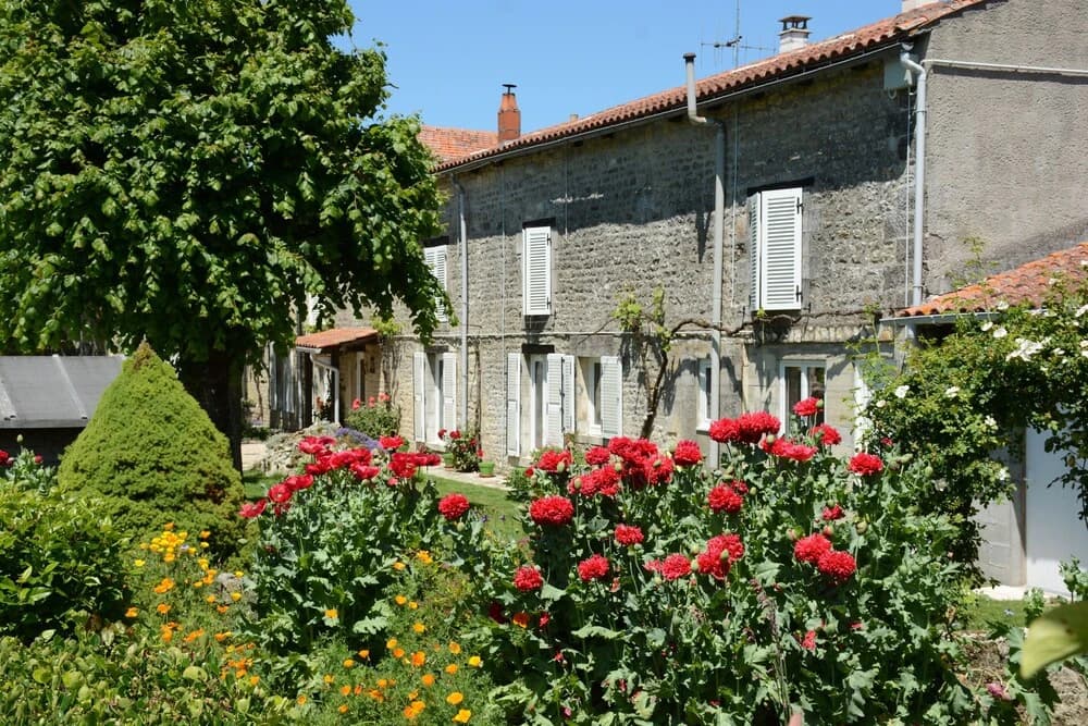 Les Noyers Aulnay - Photo 1