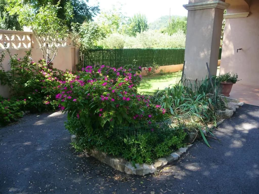 le coin tranquille - Miniature 8