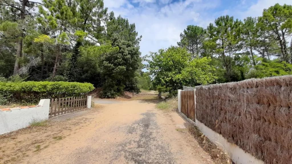 La Forêt des Rossignols - maison 4 à 6 personnes - Photo 3