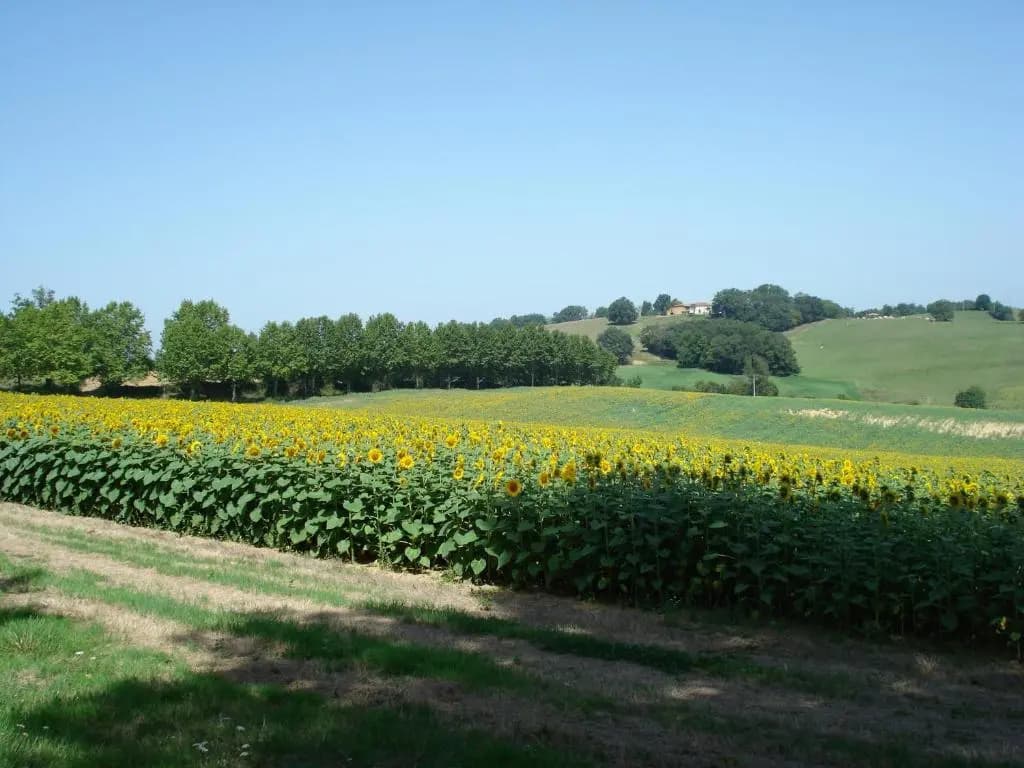 Relais du Château - Photo 3