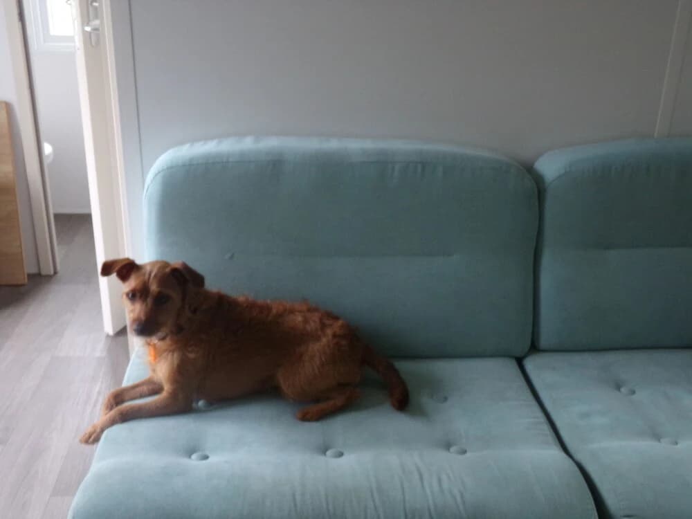 Mobil home au calme - Photo 1