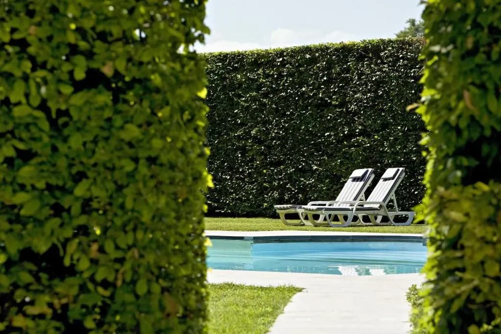 Manoir d'Hautegente - Photo 4