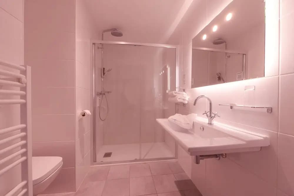Logis hotel du Rhône - Miniature 7