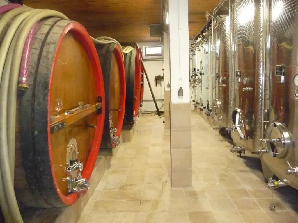 Vignobles Frey-Sohler - Photo 3