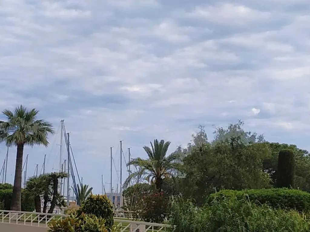 Studio Rez de jardin Marina baie des Anges - Photo 4