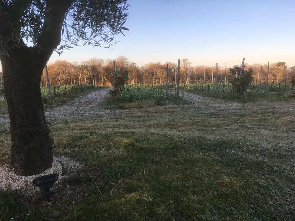 Gîte Les Vignes - Photo 5