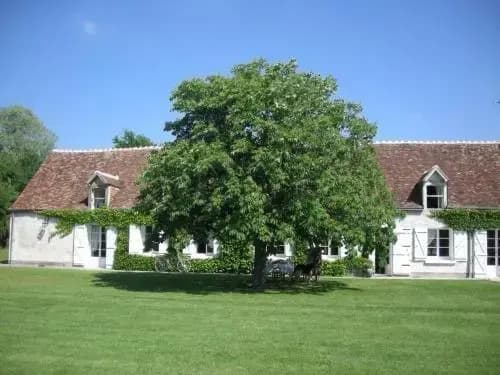 La Touche - Photo 5