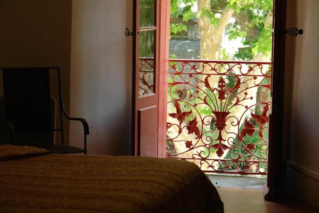 Le Mimosa - Photo 3