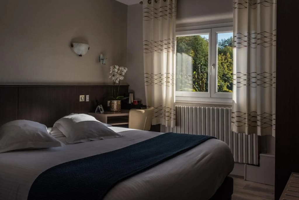 Hôtel CARRER Le Rhien - Photo 4