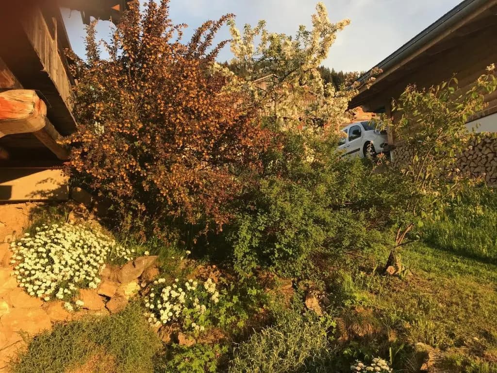 La Ferme des Georgières - Photo 3