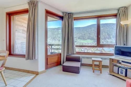 Mitoulets 3 40 Studio - Snow And Trek -Morzine - Photo 1
