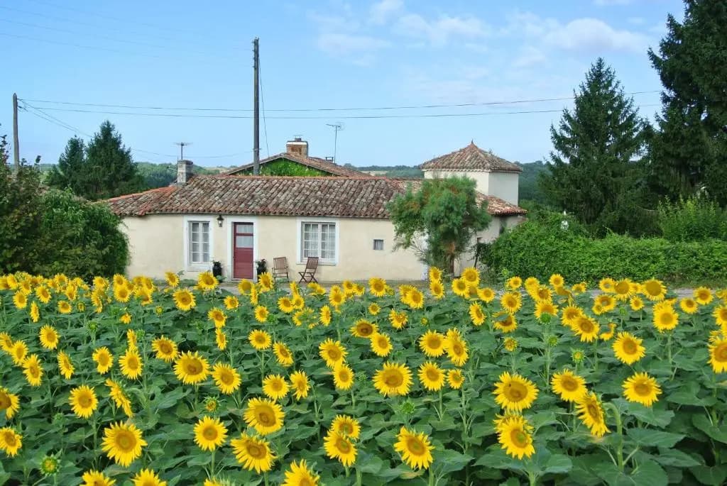 Chez Sarrazin - Photo 1