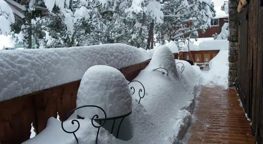 Chalet Ventoux Serein - Chambres d'hôtes - Photo 3