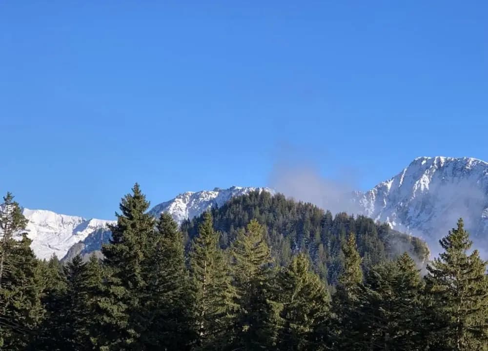 Alpine Escape at Chamrousse - Miniature 8
