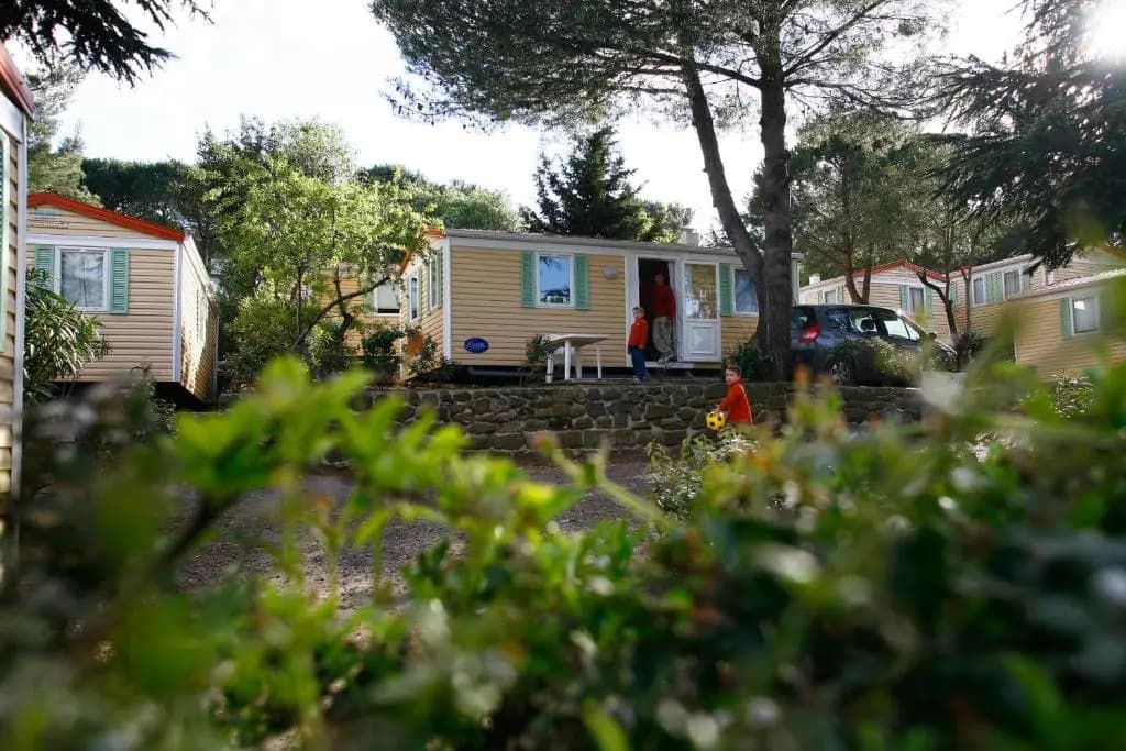 Domaine Résidentiel de Plein Air Odalys La Pinède - Photo 1