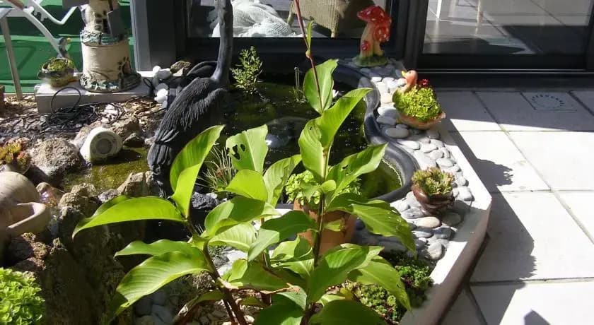 Au Jardin d'Eden - Miniature 7