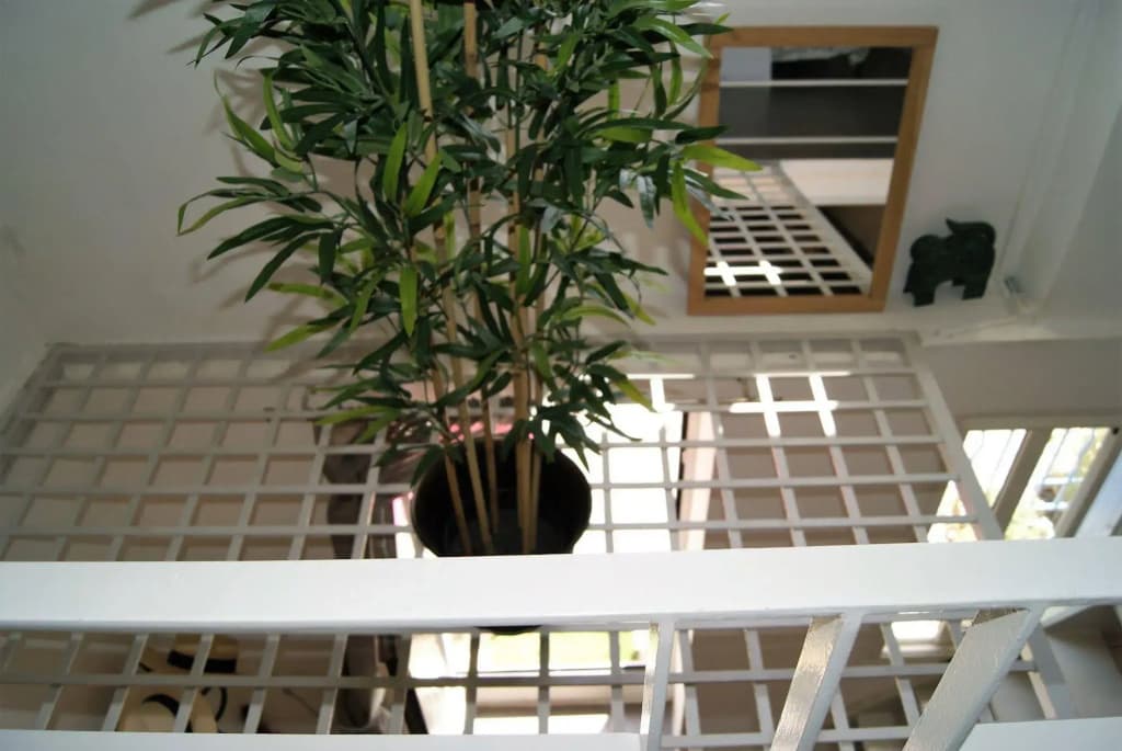 Un Duplex au Panier - Miniature 8