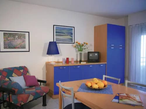 Lagrange Vacances - Royal Parc / L'Alizier - Photo 4