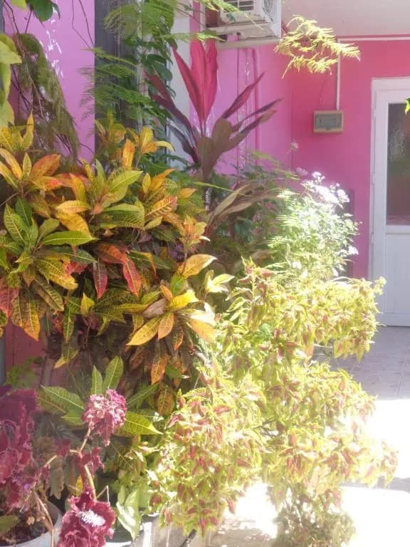 Residence Madelia - Photo 2