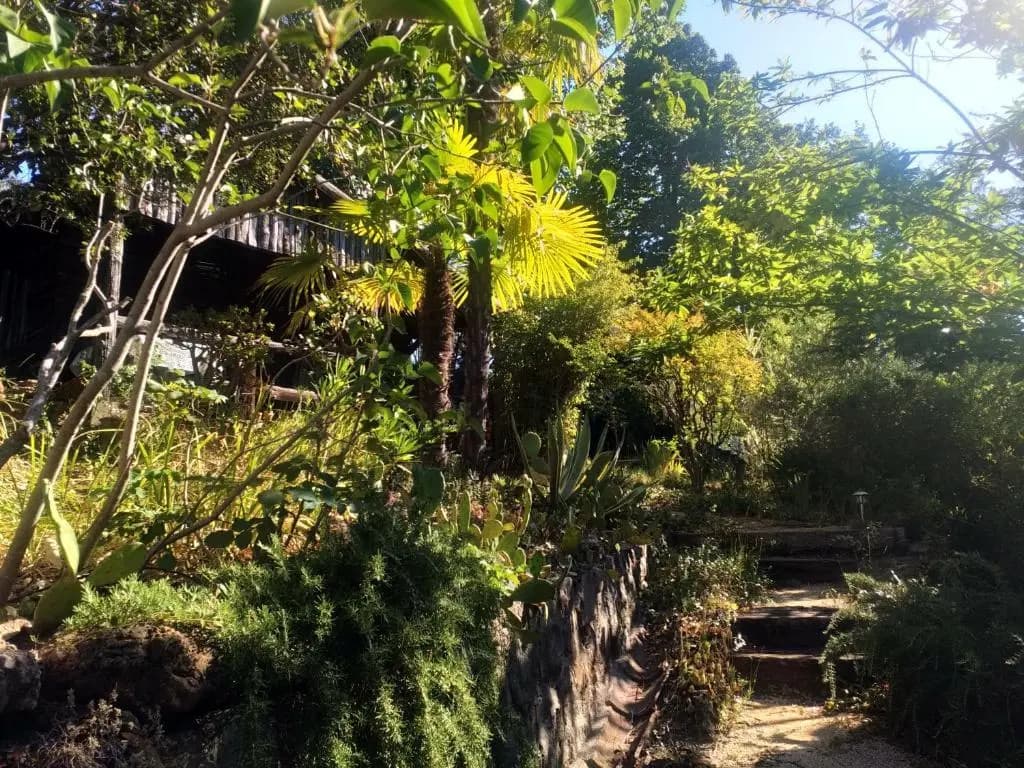 Les Jardins d'Arbousse - Miniature 8