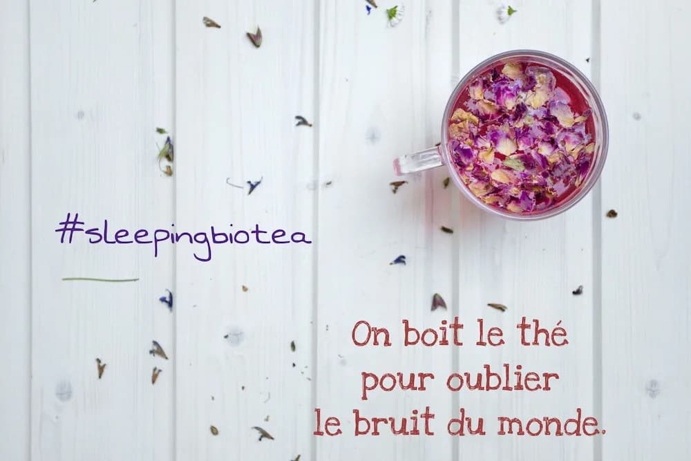 Sleeping Bio Tea - B&B - Miniature 7