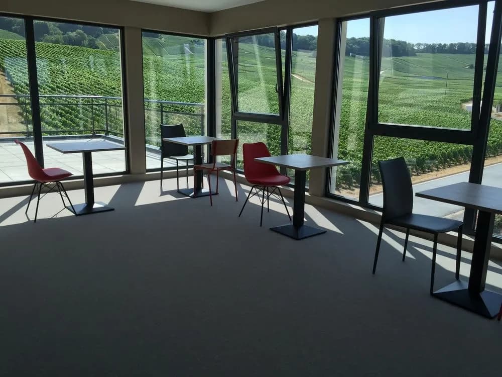 Dans Les Vignes - Miniature 7