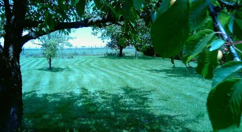 Domaine de la Rainette - Photo 3