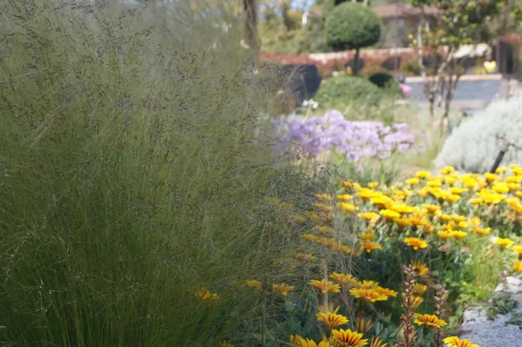 Les Jardins De Santa Giulia - Charmante chambre d'hôte 2 - Photo 4