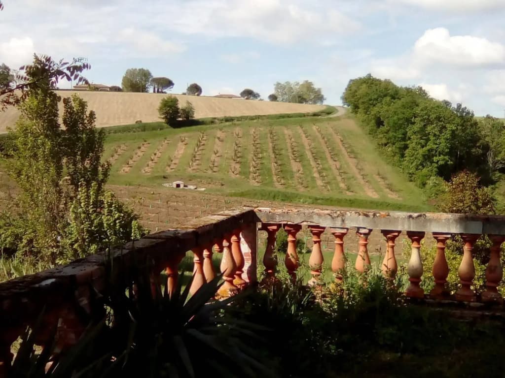Aube Nouvelle - Photo 3