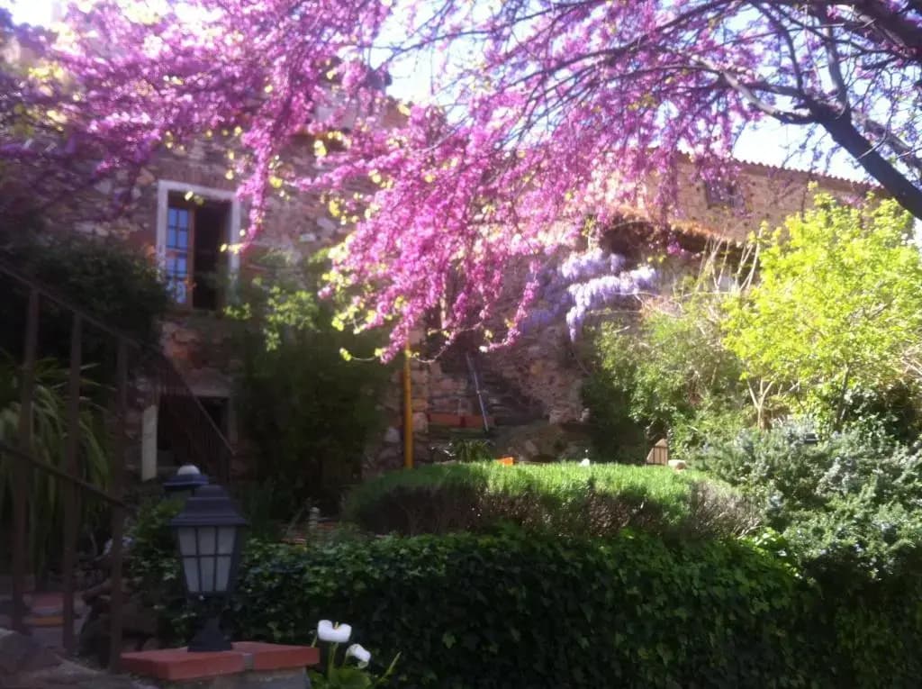 La Figuera - Photo 5