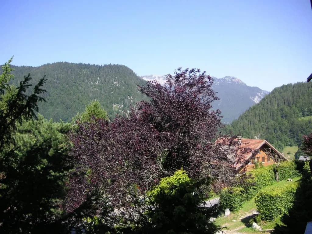 Appartement La Clusaz, 2 pièces, 4 personnes - FR-1-437-5 - Photo 2