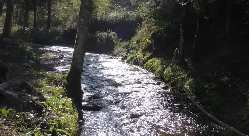 Le Moulin Gitenay - Yourte - Photo 3