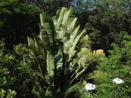 Villa entre mer et montagne - Photo 2