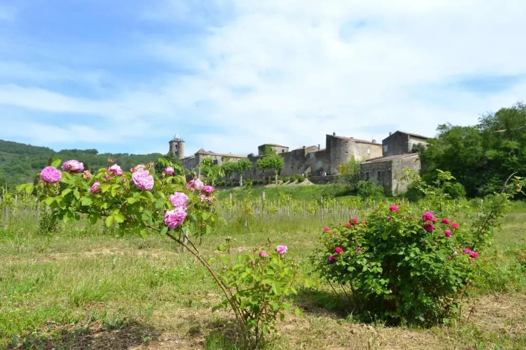 Domaine du Hameau Baylesse - Photo 3